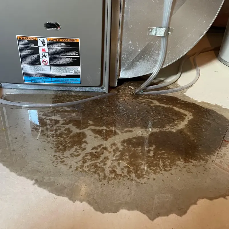 Appliance Leak Cleanup in Fox Island, WA