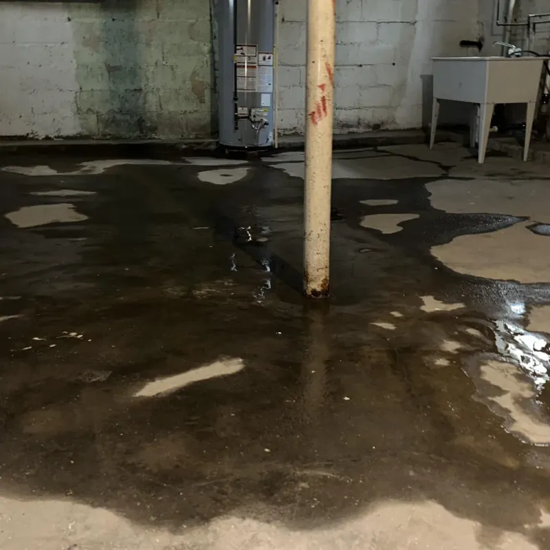 Emergency Water Extraction And Removal in Fox Island, WA